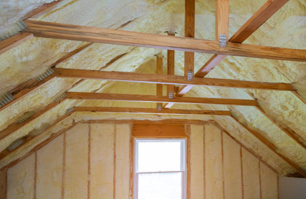 Best Geographic-Specific Insulation Services in Citrus Heights, CA