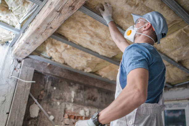Best Insulation for Specific Applications in Citrus Heights, CA