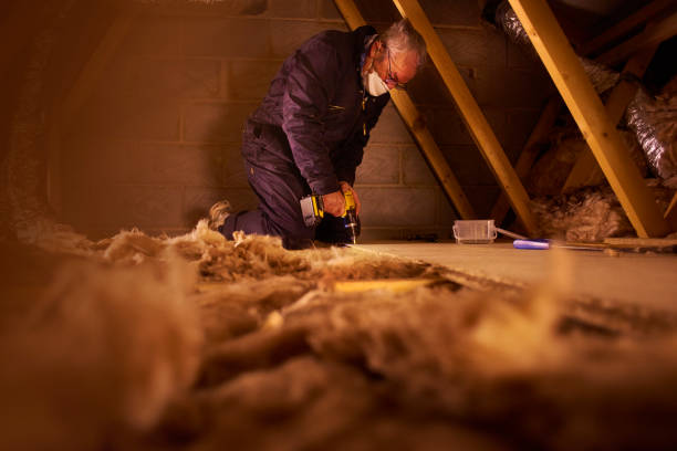 Types of Insulation We Offer in Citrus Heights, CA